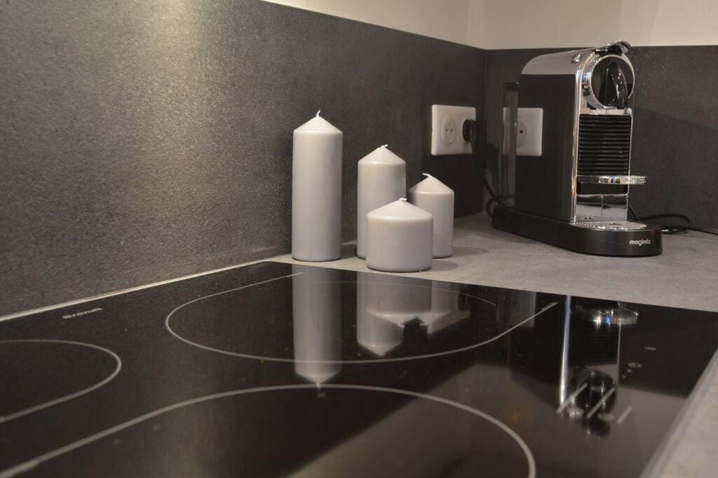 Le Jaures, Logement D'Exception 格勒诺布尔 外观 照片