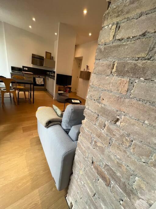 Le Jaures, Logement D'Exception 格勒诺布尔 外观 照片