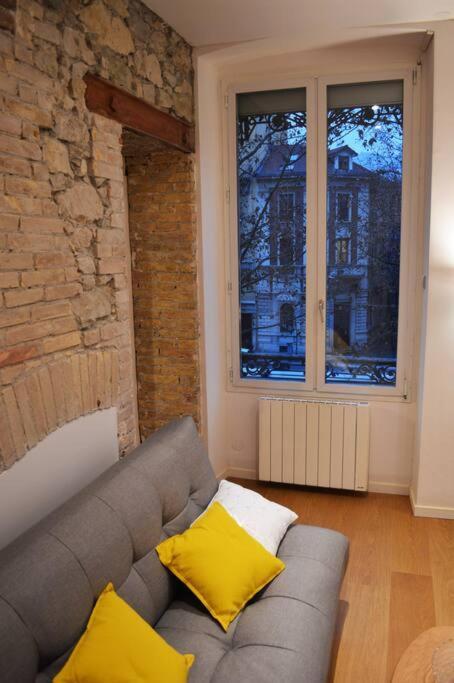 Le Jaures, Logement D'Exception 格勒诺布尔 外观 照片